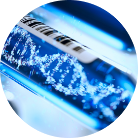 착상 전 유전자검사